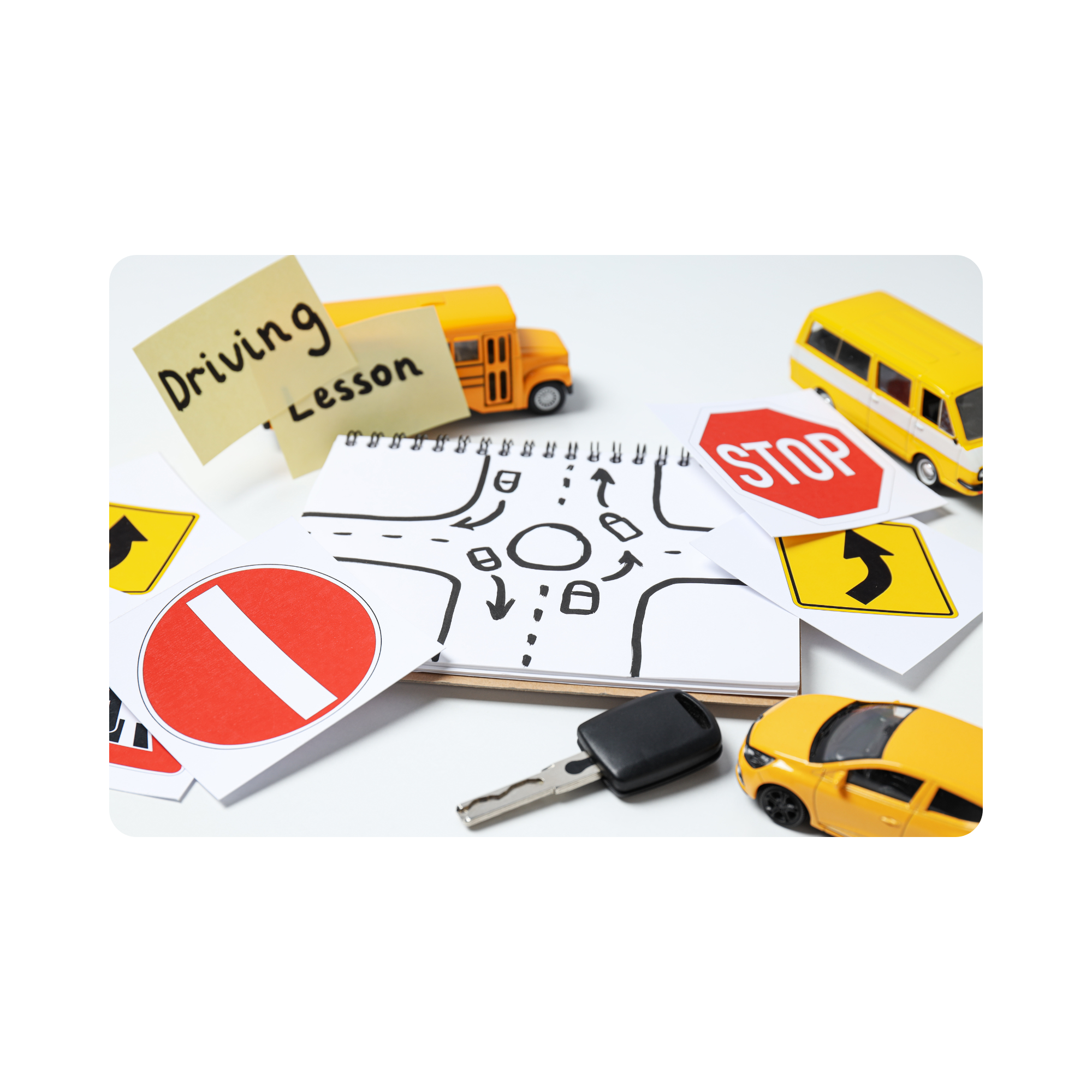 Driving lesson support